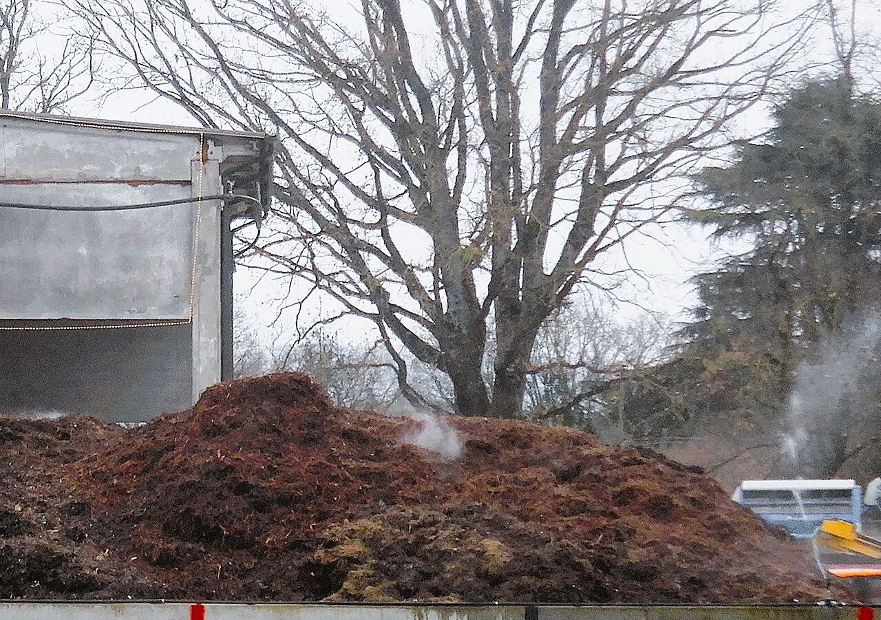 Steam rising from an actively decomposing compost heap