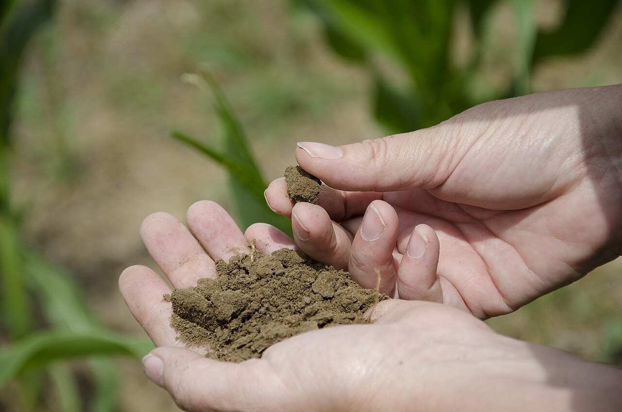 Hands holding dark, crumbly finished compost above garden soil