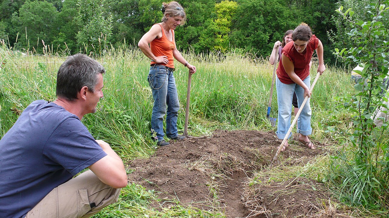 Mulch-filled infiltration trench carrying greywater out to garden plantings