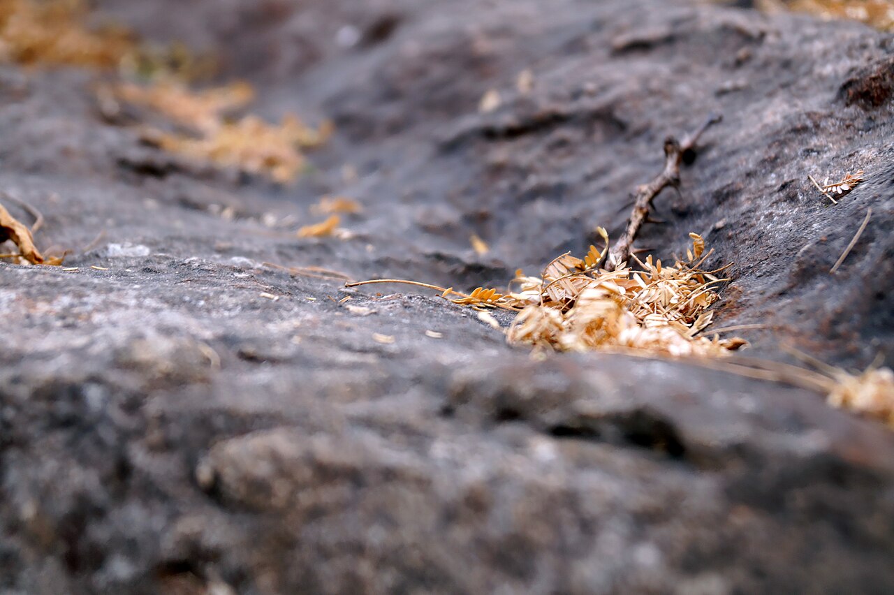 Pile of dry brown autumn leaves used as compost browns