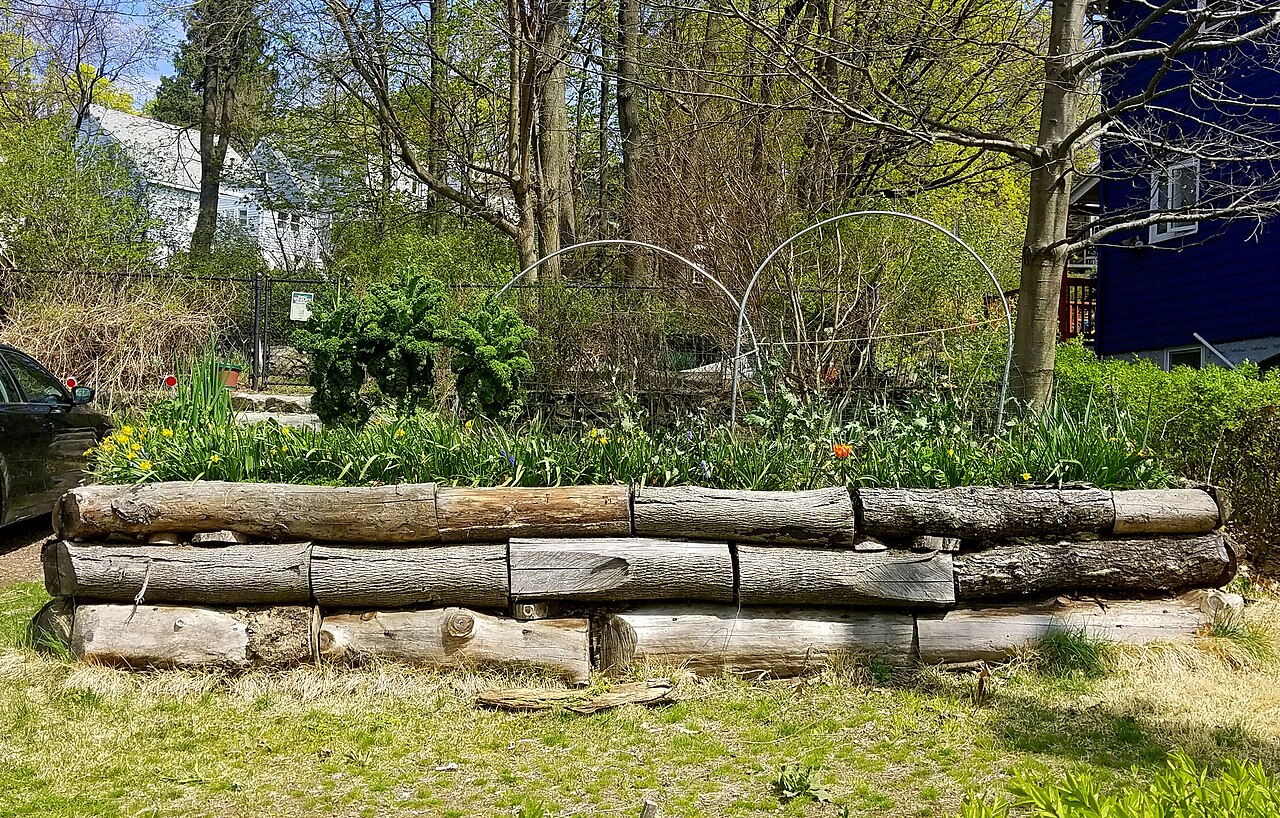 Hugelkultur mound bed built from logs covered with soil and plants