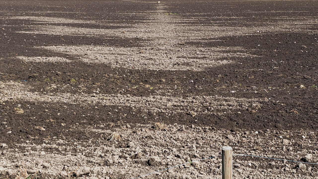 Freshly plowed bare field drying in the sun